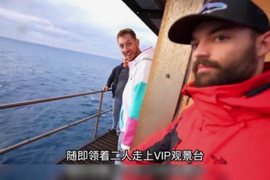 另类记录！海港本场10人染黄，包括替补席的岳鑫及队医