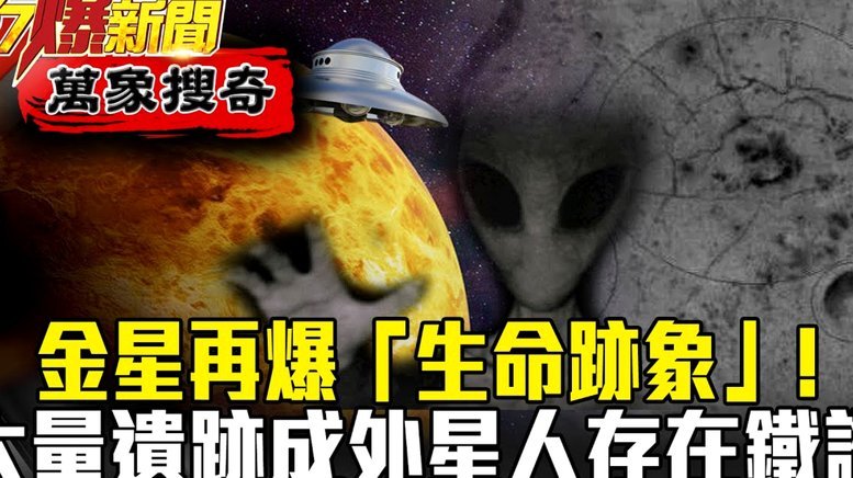 15岁少年金星辰：异国求学之路
