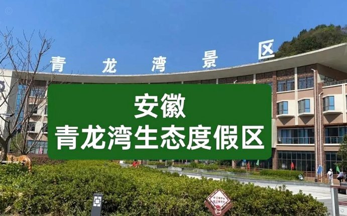 为什么青区会被打成黑子渊薮 反懂大本营？