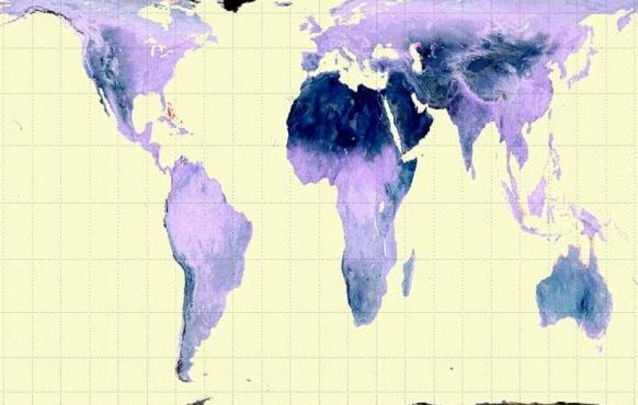 世界杯夺冠悬念：法国成最大赢家