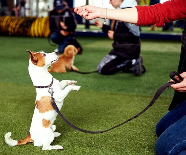 卡多索：延续进球势头，期待更多精彩表现