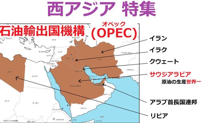 维纳尔杜姆免签回归吉达联合